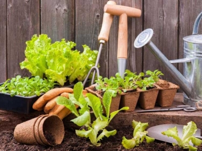 Αγγίζει την ερασιτεχνική κηπουρική το Way